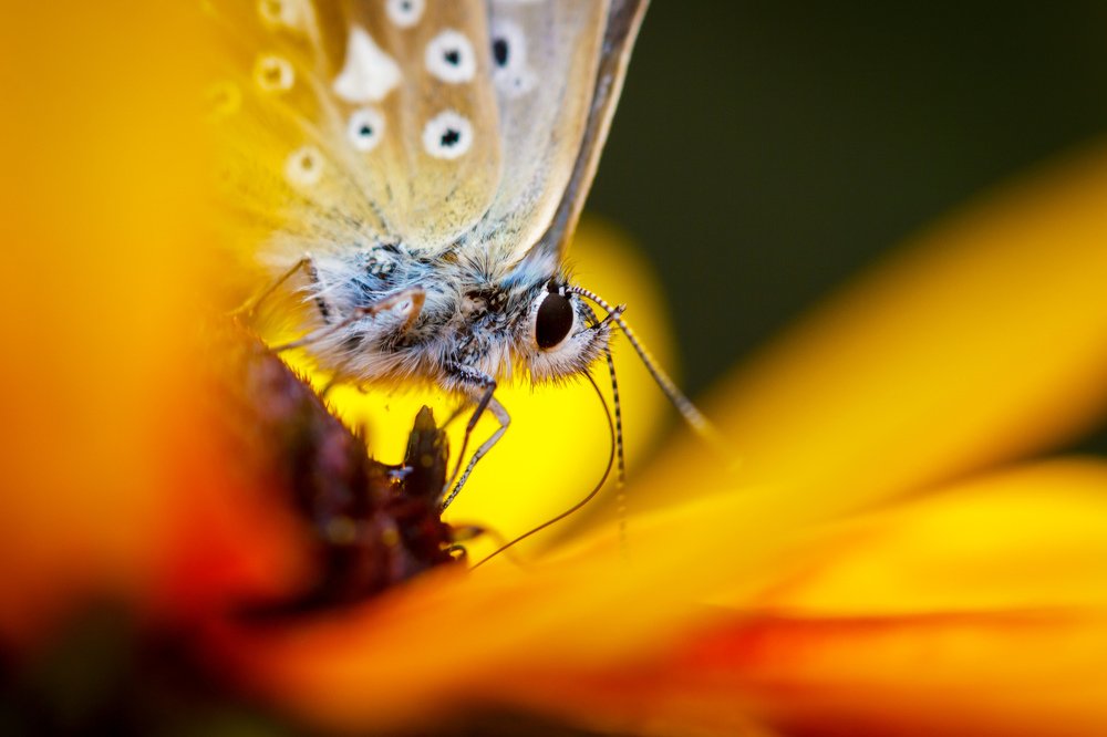 Photograph by Efremenko Nikita