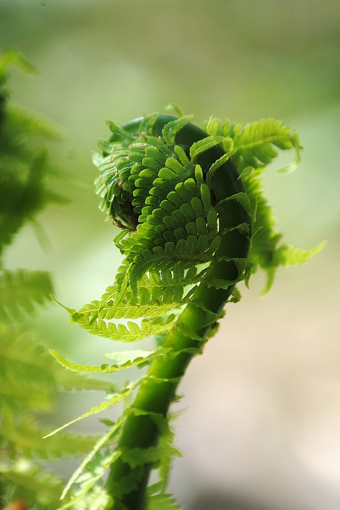 Photograph by Yroslava Veretina