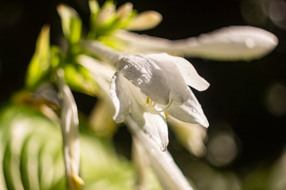 Фотография автора Ольга Тайчинова