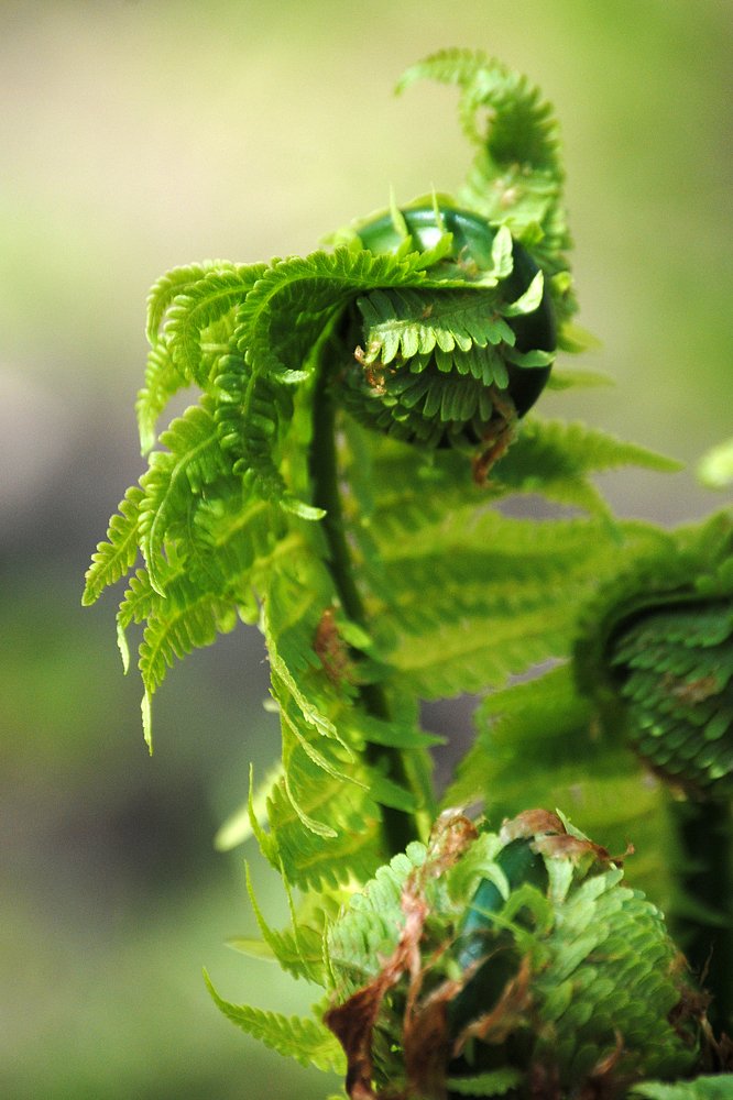 Photograph by Yroslava Veretina