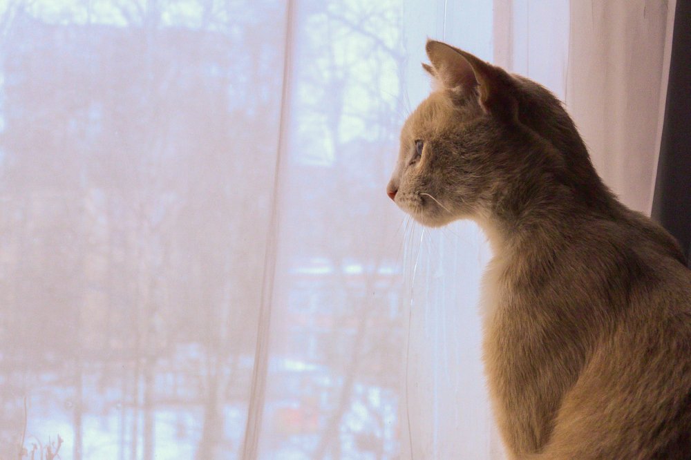 Perseus.Персей.