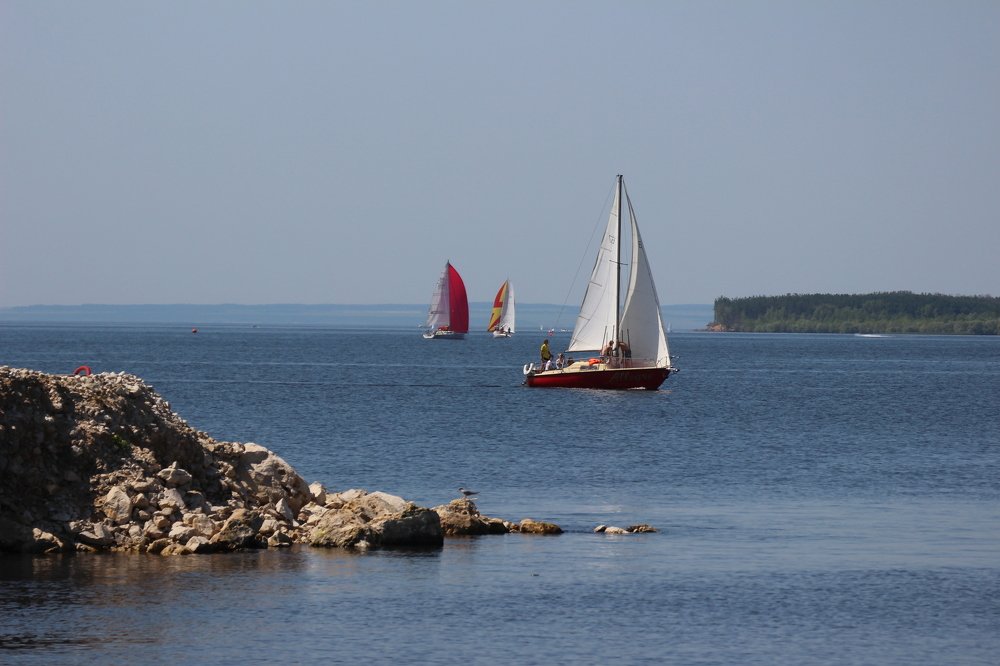 Photograph by Efremenko Nikita