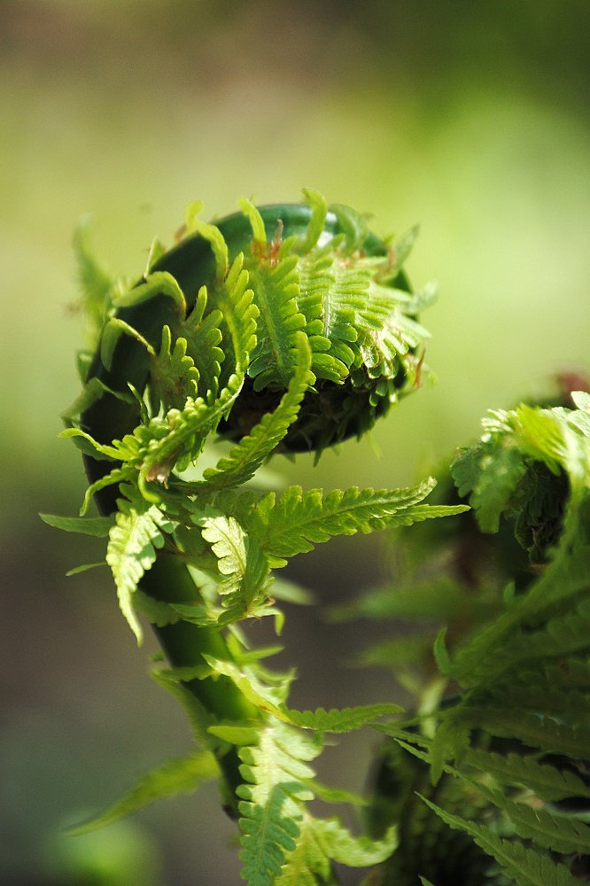 Photograph by Yroslava Veretina