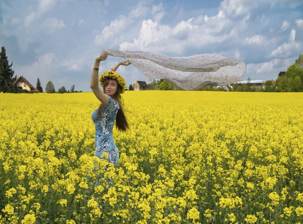 Летний ветерок