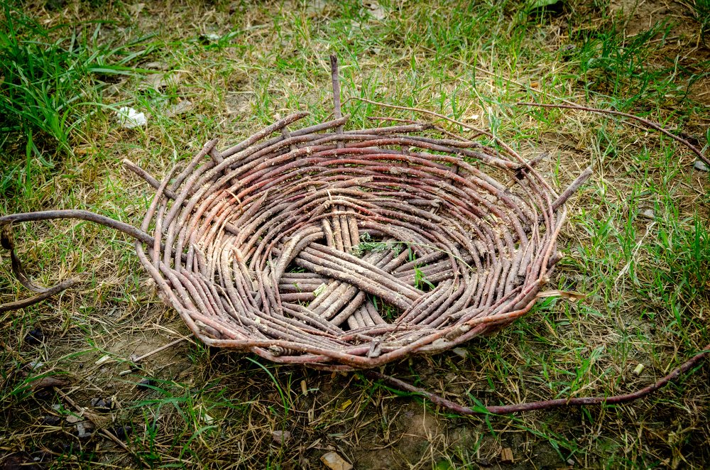 Фотография автора Muhammad Haris