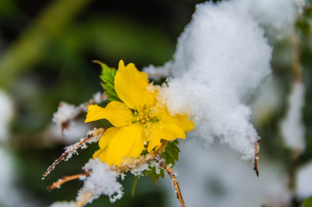Фотография автора Ольга Тайчинова