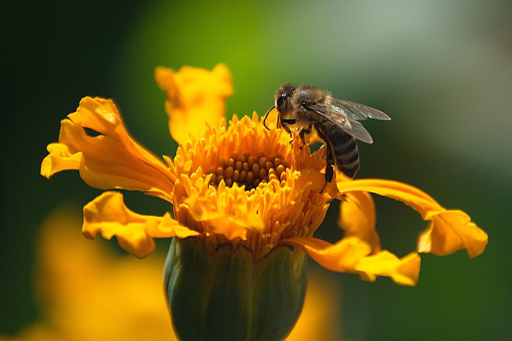 Photograph by Yroslava Veretina