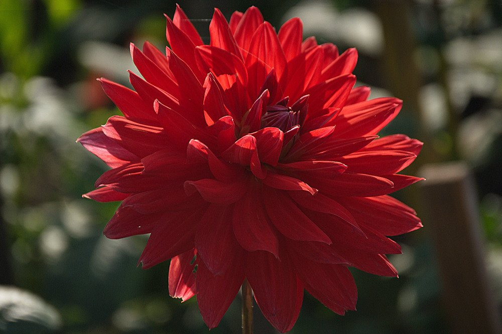 Photograph by Yroslava Veretina