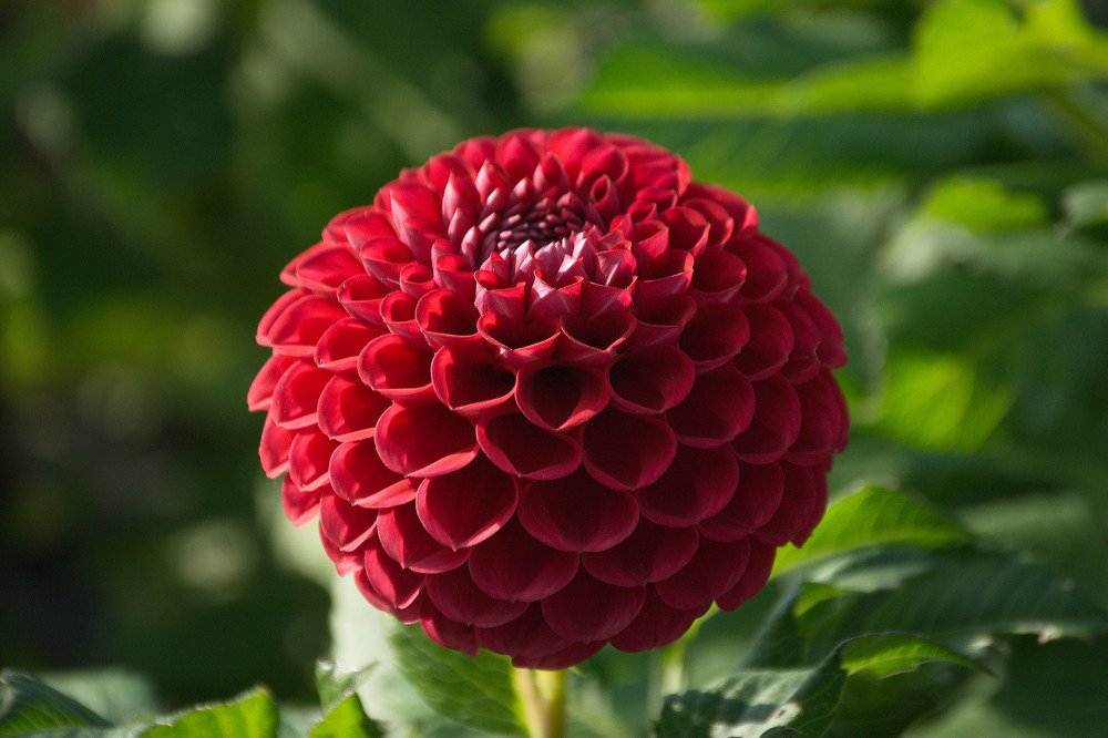 Photograph by Yroslava Veretina