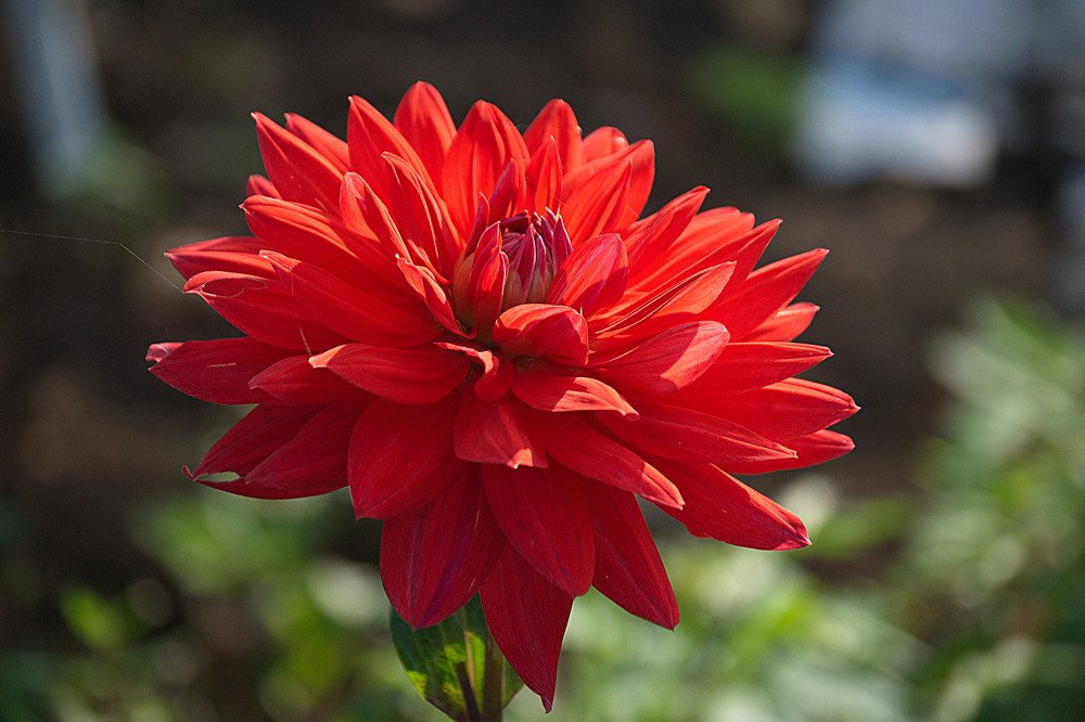 Photograph by Yroslava Veretina