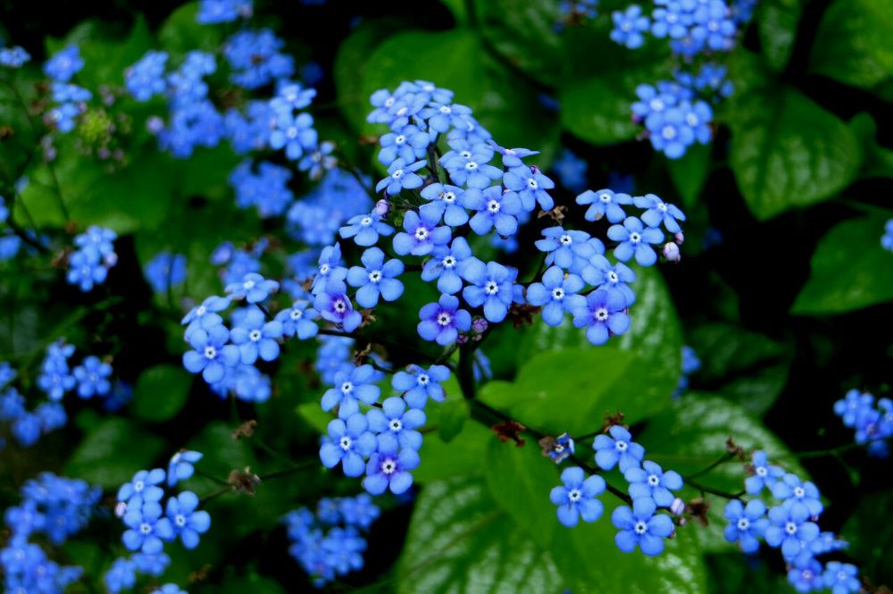 Photograph by Яна Прокофьева