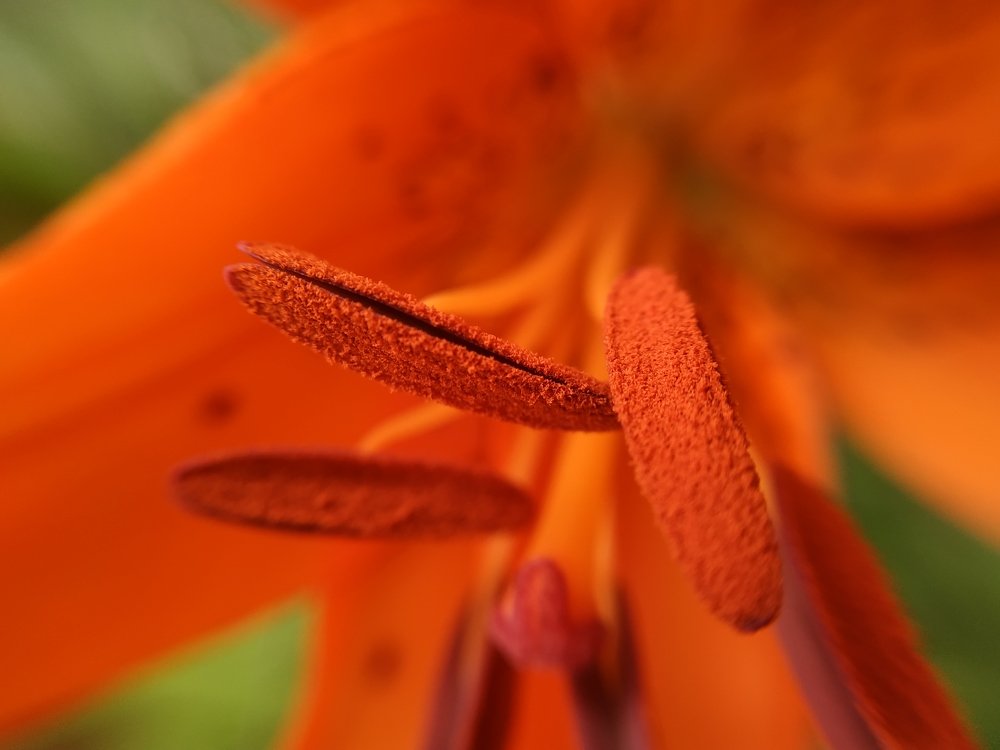 Photograph by Яна Прокофьева