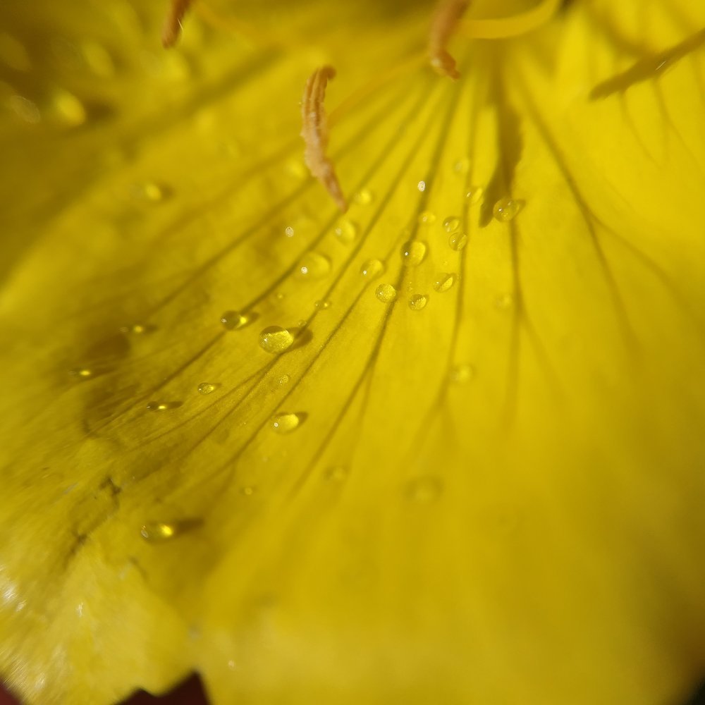 Photograph by Яна Прокофьева