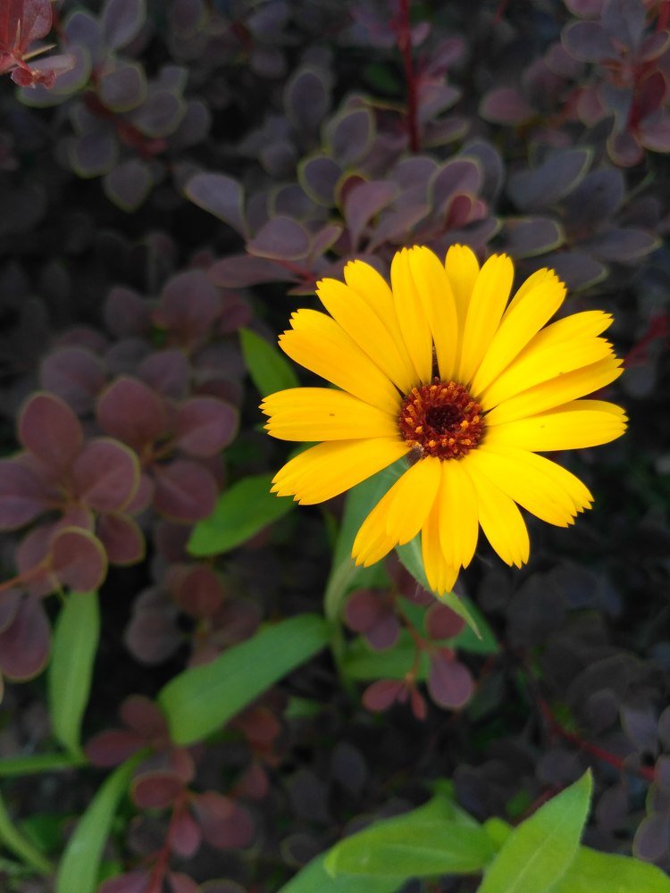 Photograph by Яна Прокофьева