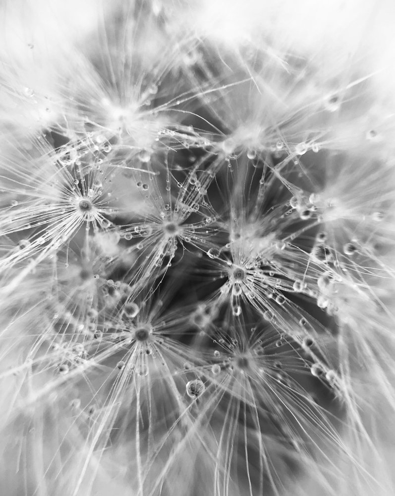 Photograph by Диана Нигматова