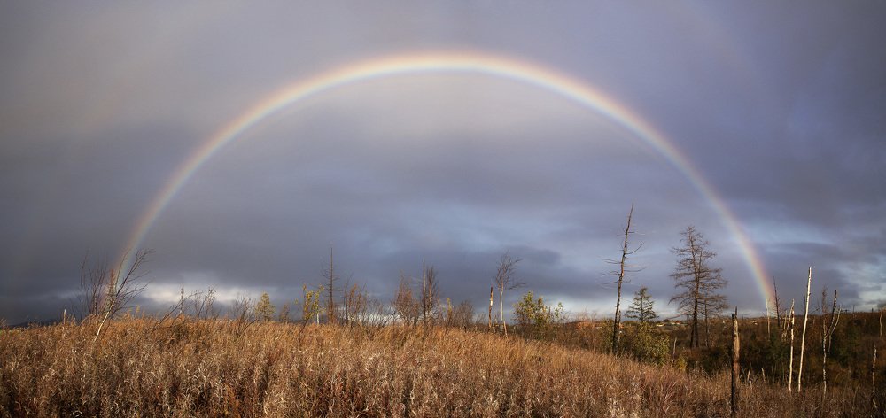 Photograph by Антон Кривошейцев