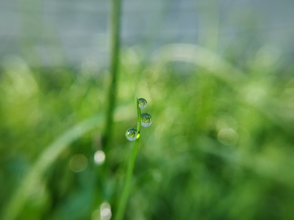 Photograph by Яна Прокофьева