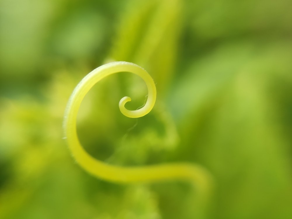 Photograph by Яна Прокофьева