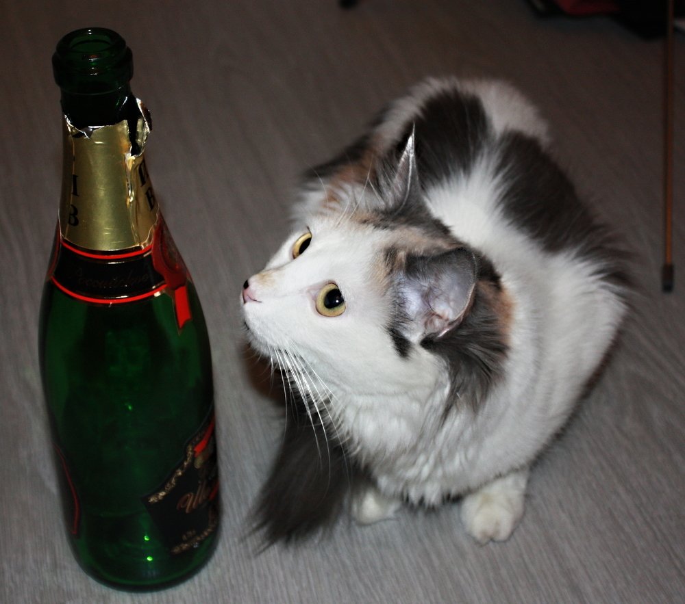 Photograph by Надежда Костюрина