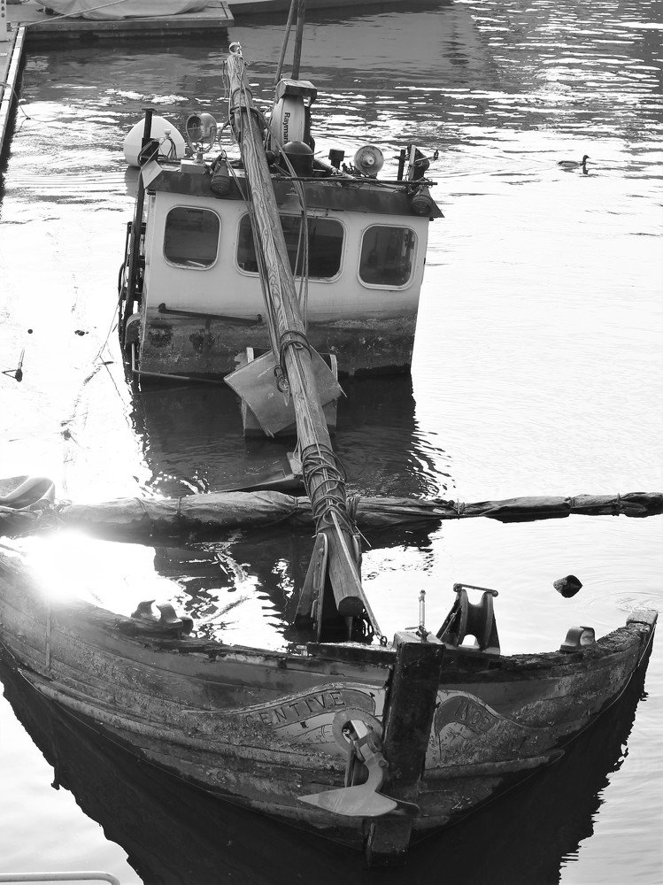 Photograph by Jacek Orzechowski