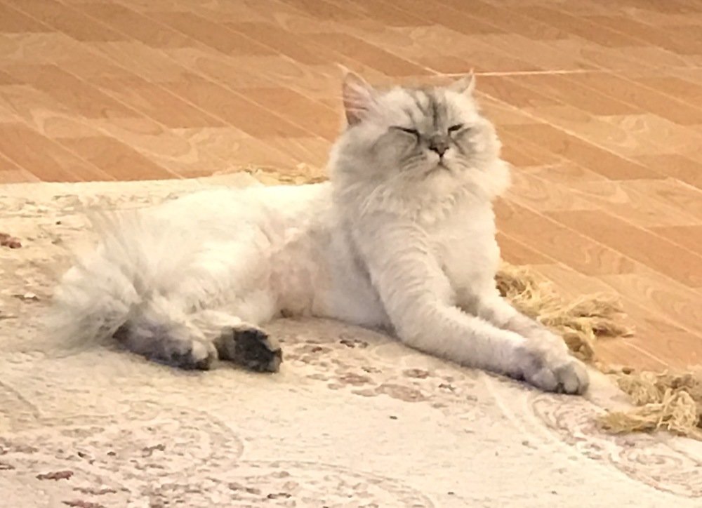 Photograph by Aamir Abbas