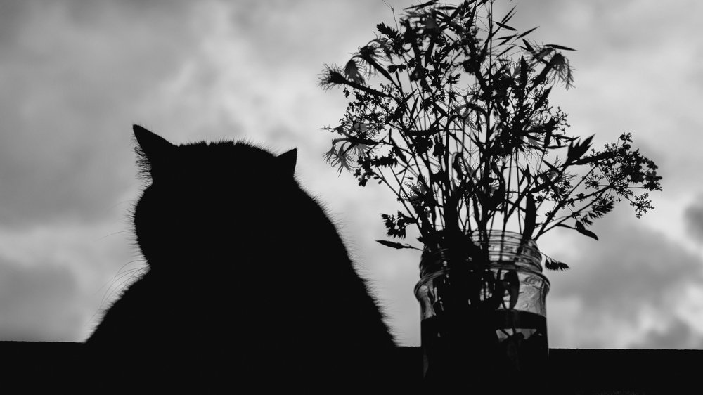 Муртюрморт