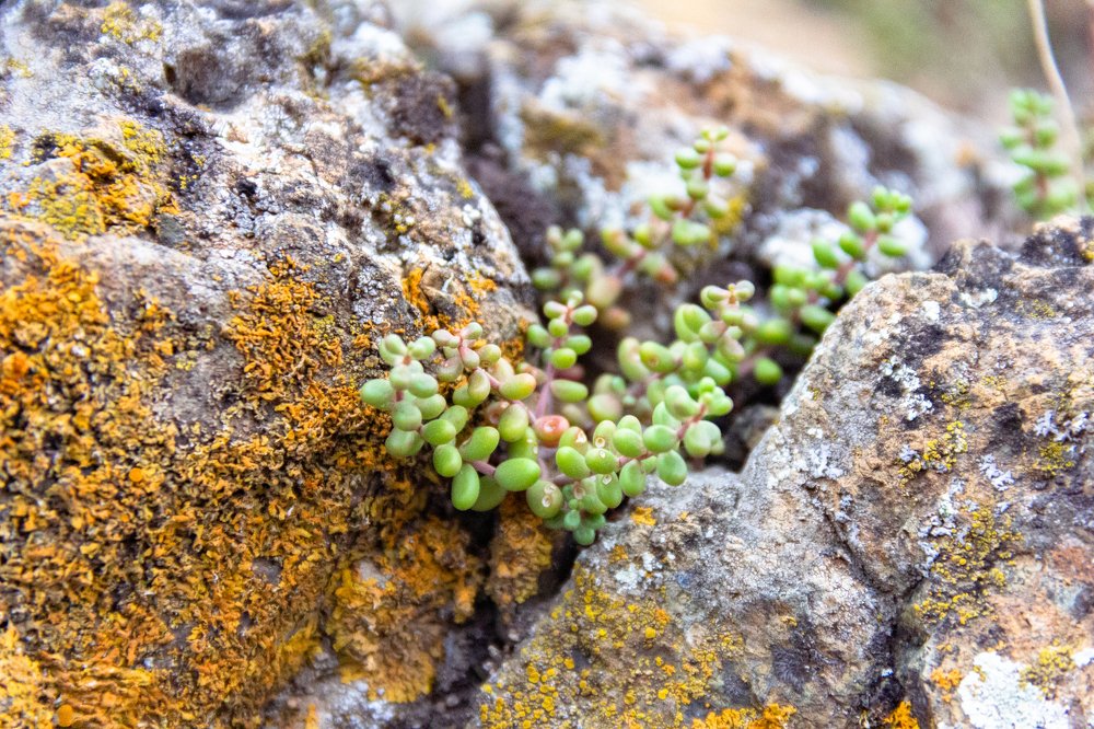 Фотография автора Ольга Тайчинова