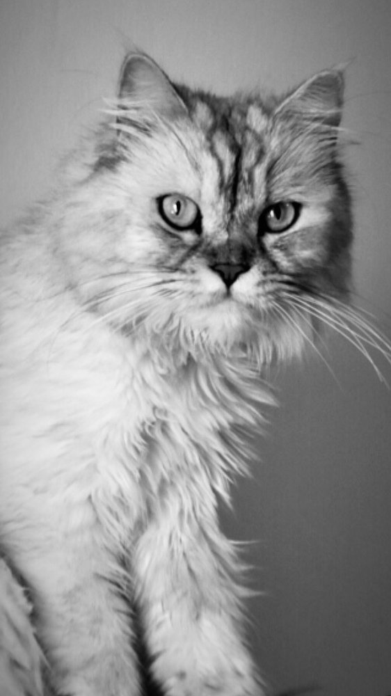 Photograph by Aamir Abbas