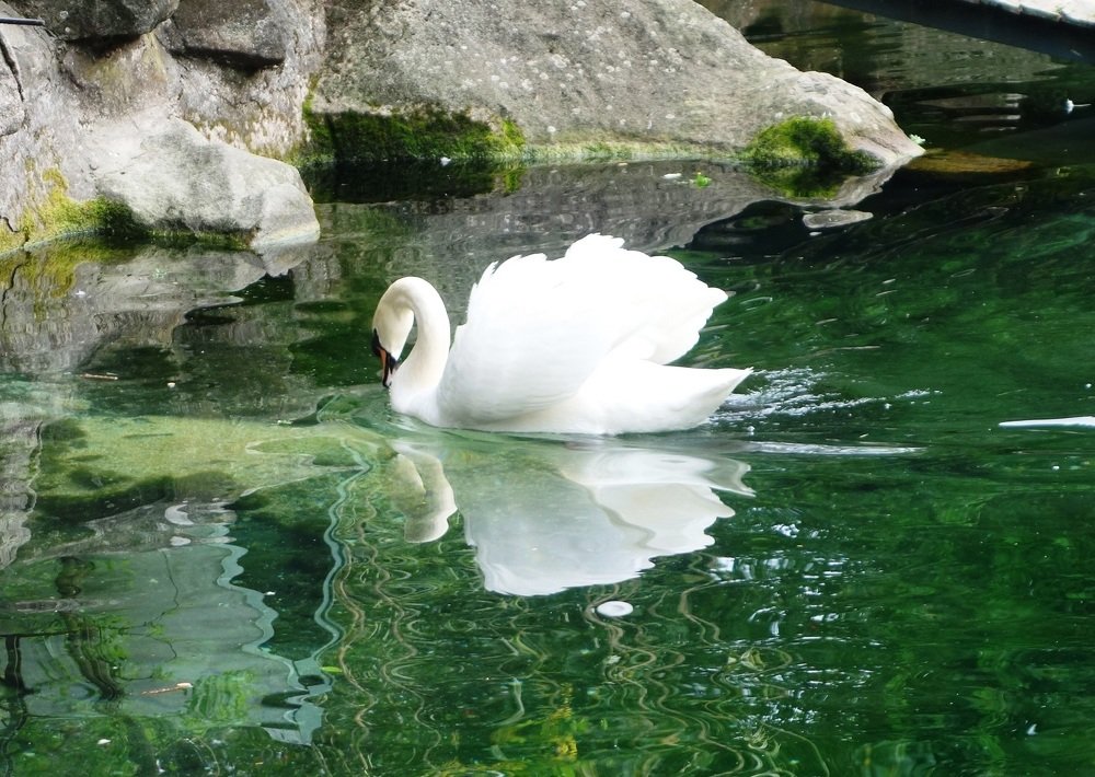 Photograph by IRINA KORNEVA