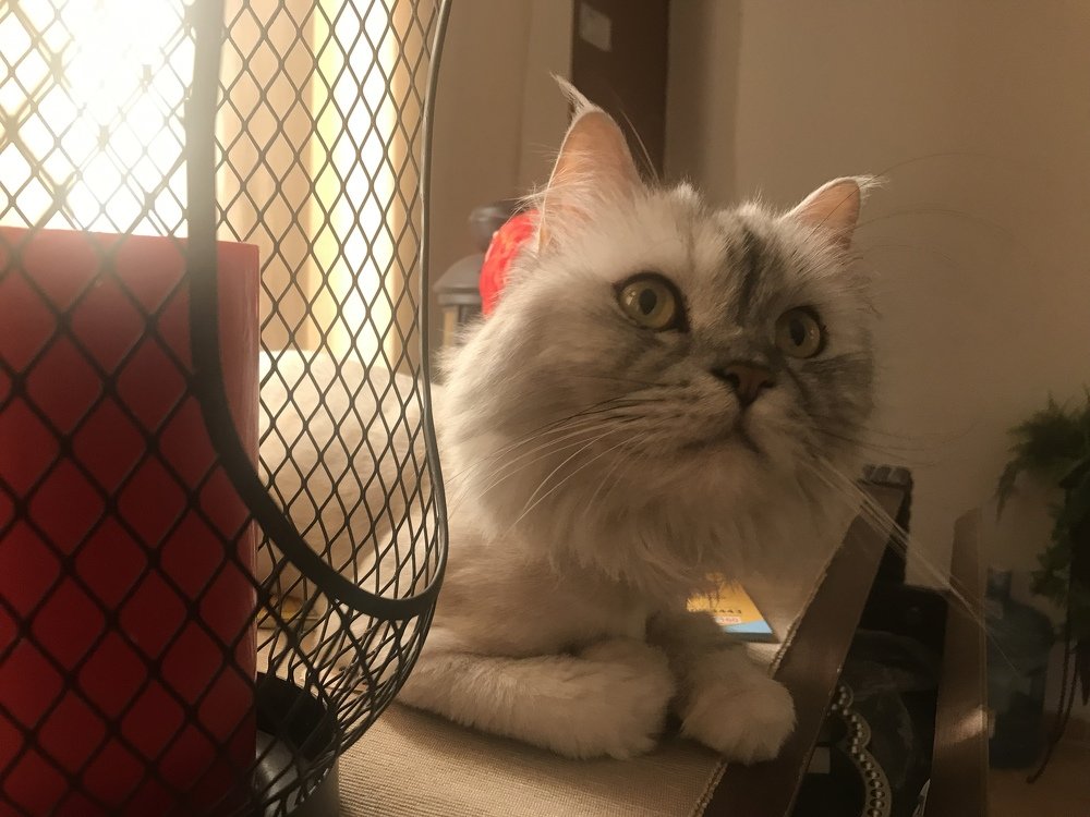 Photograph by Aamir Abbas