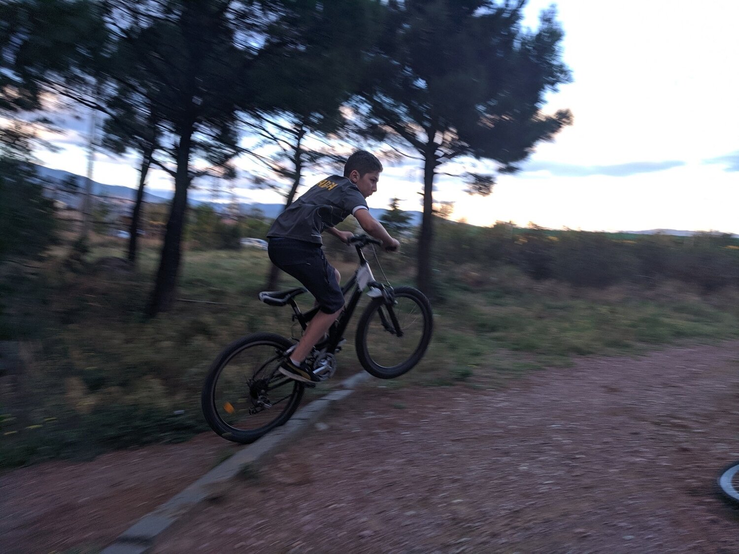 Photo #3591263