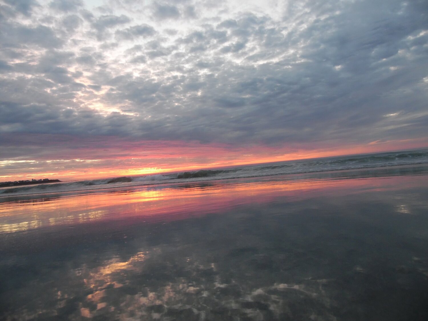 Photo #3591297