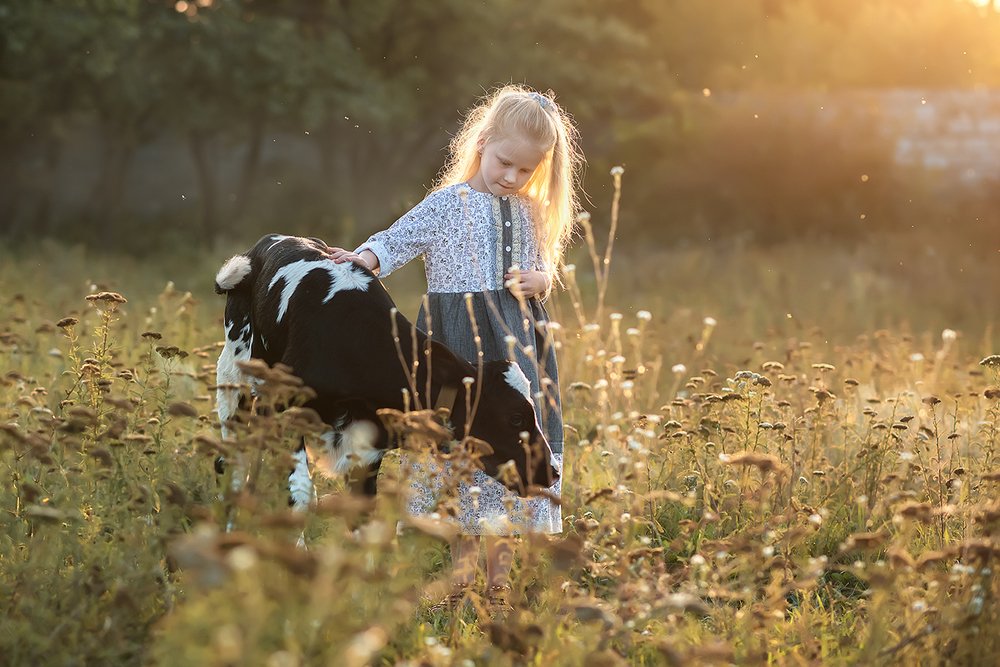 Милая пастушка