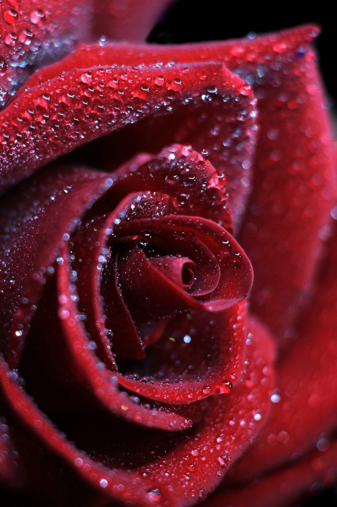 Photograph by Анастасия Сосновская