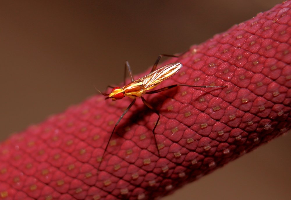 Photograph by Yusuf Buchari