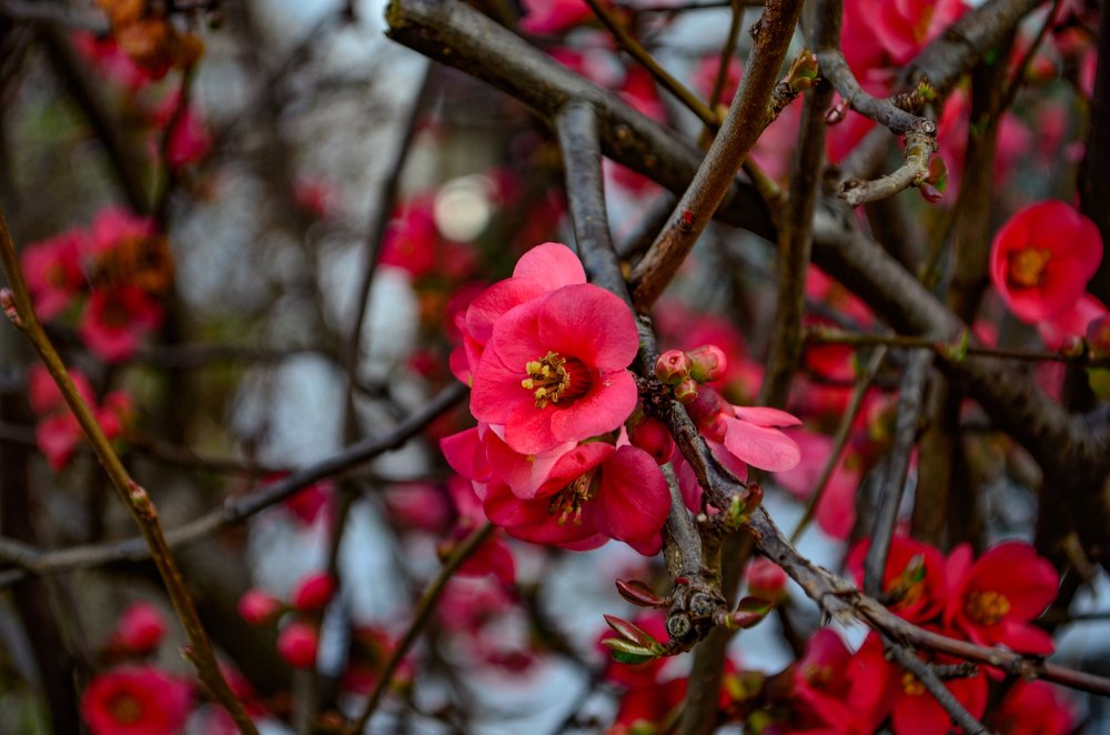 Photograph by Сергей Глухарев