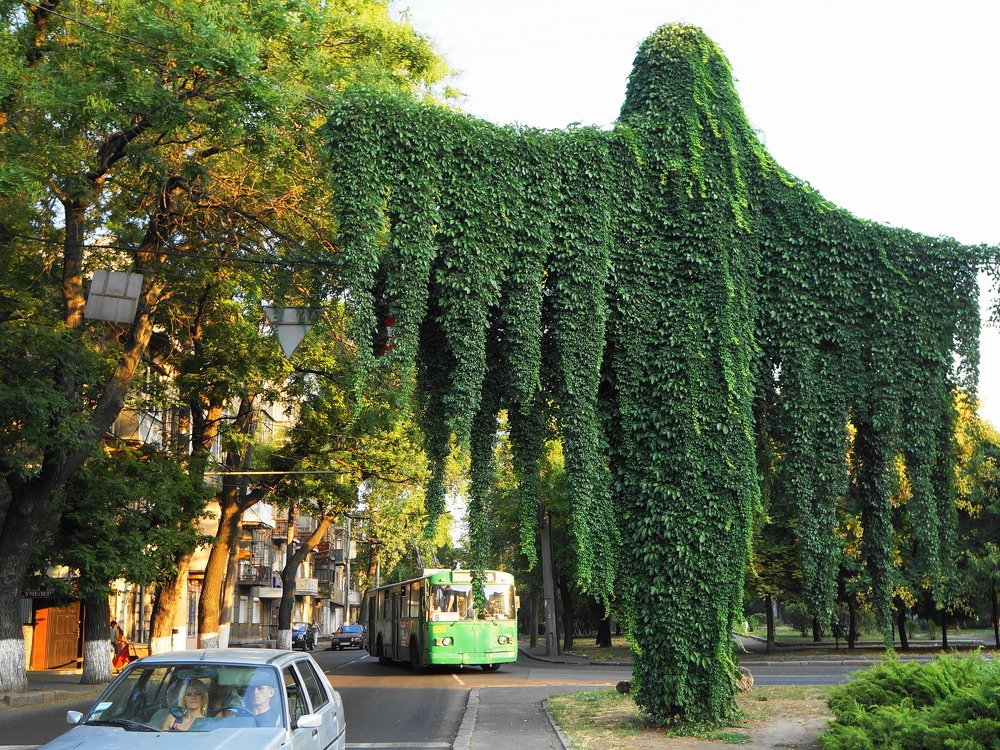 Зелёный Великан...