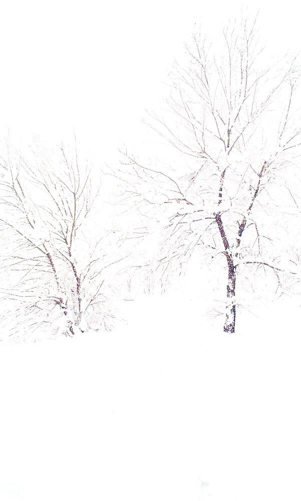 Photograph by Надежда Костюрина