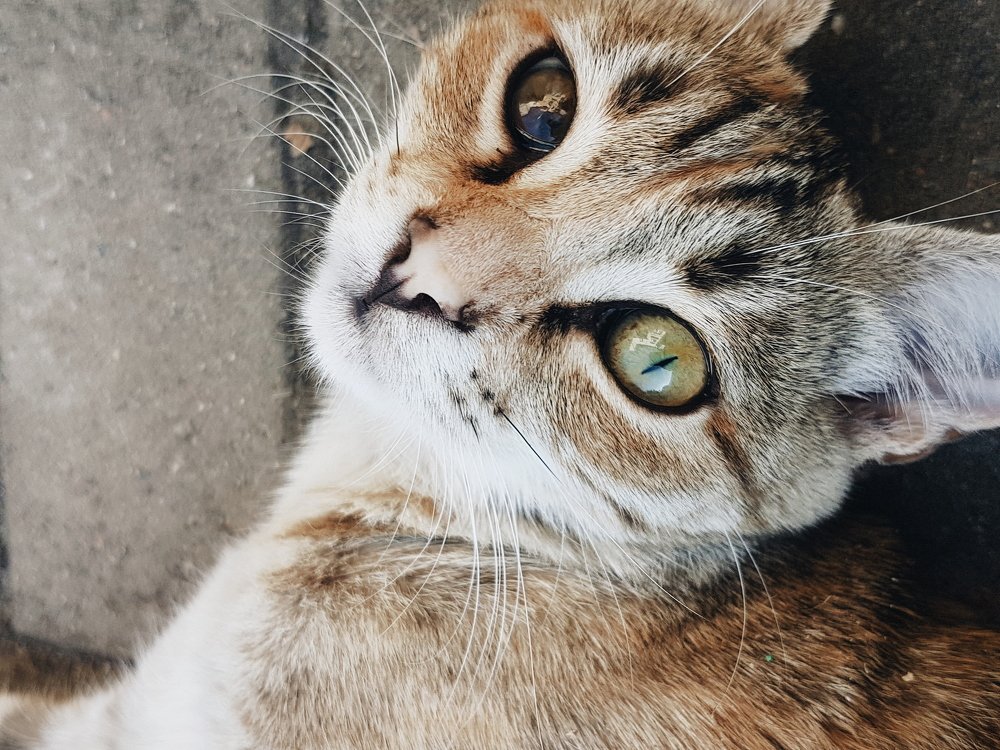 Photograph by Дарья Довгаль