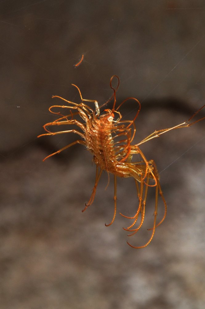 Photograph by Вячеслав Гусаков