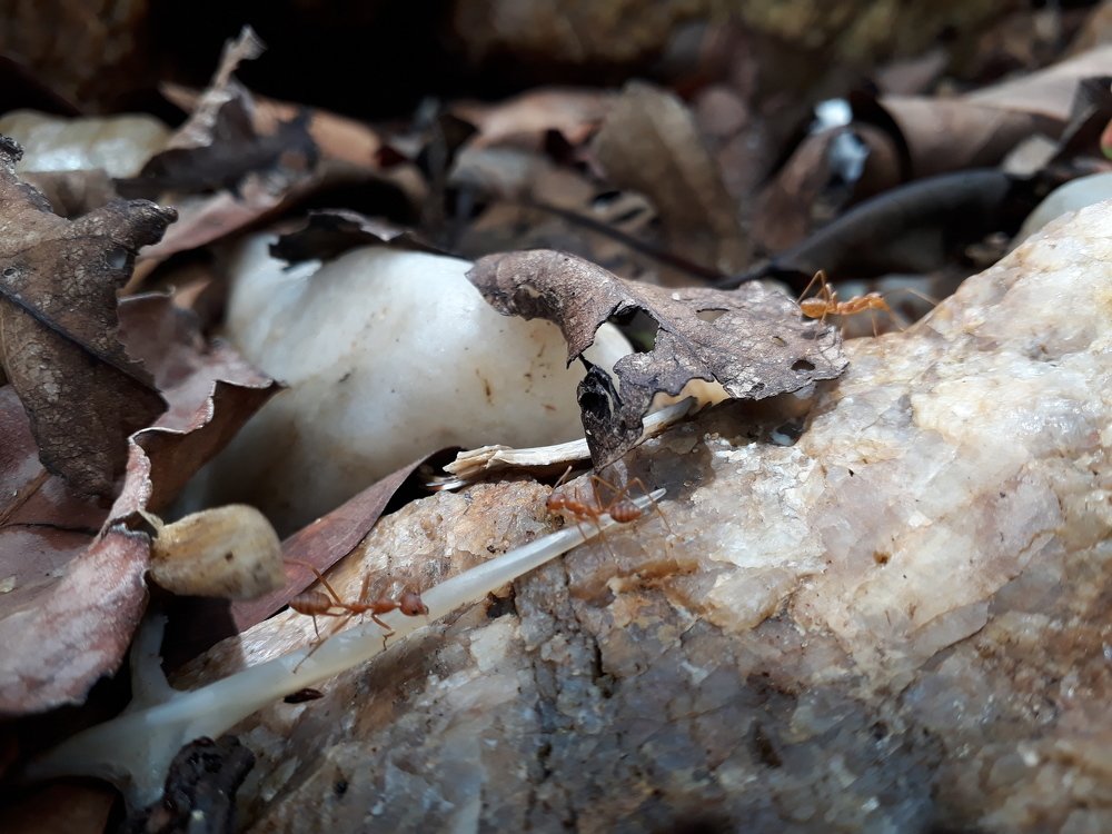 Photo #3591549
