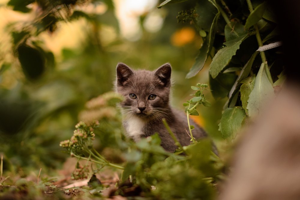 Photograph by Илья Кузнецов