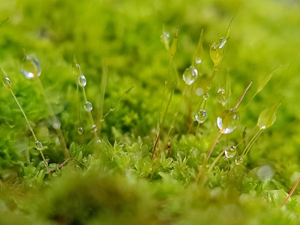 Photograph by Iin Fortunata Angelina