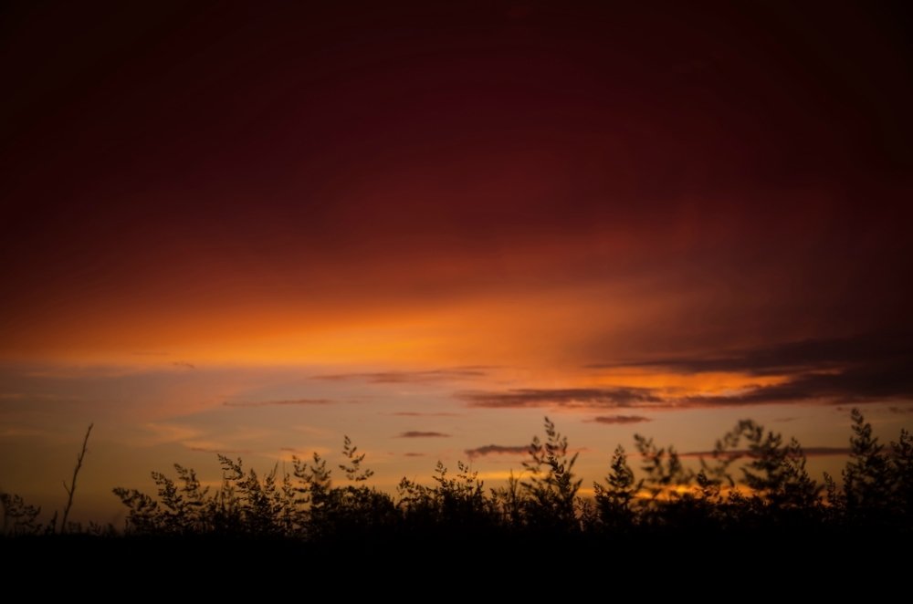 Photograph by  Svetlana