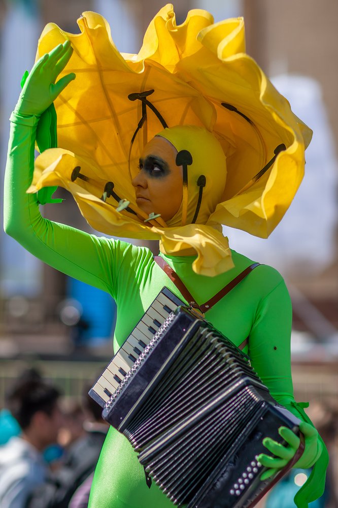 Желтые тюльпаны помнят твои руки...