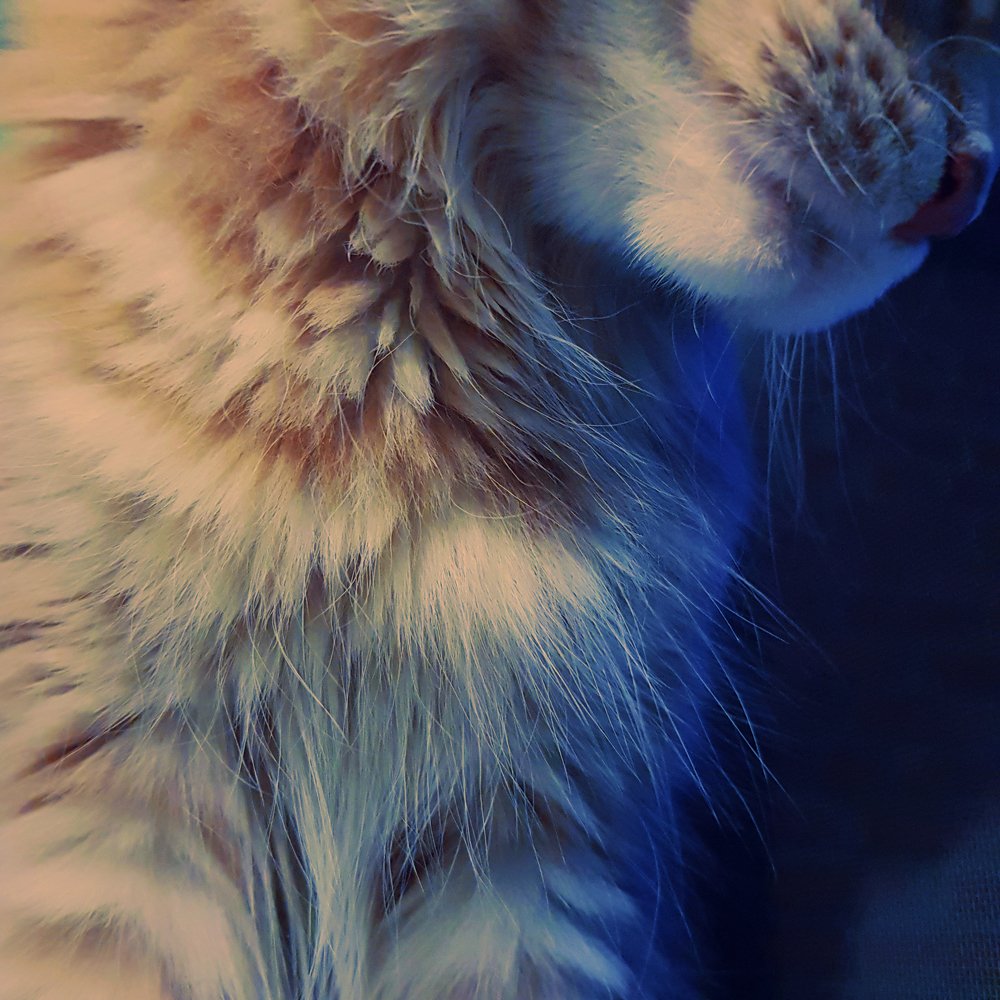 Photograph by Елена Руснак