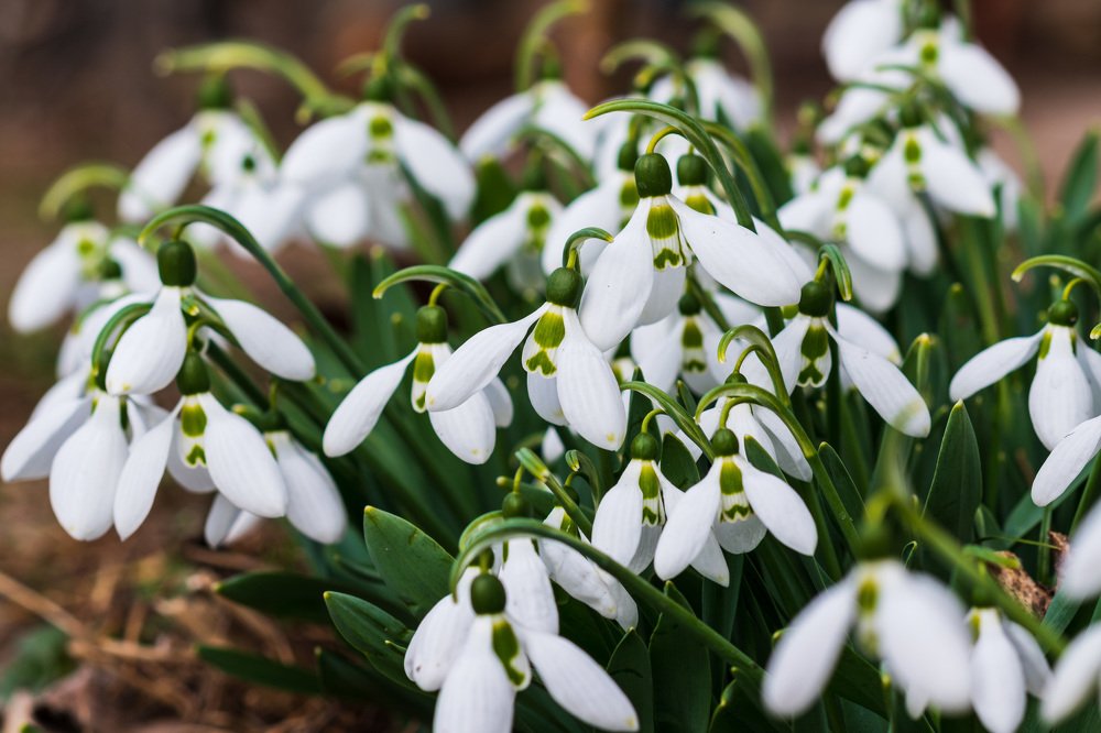 Photograph by Anna Doncila