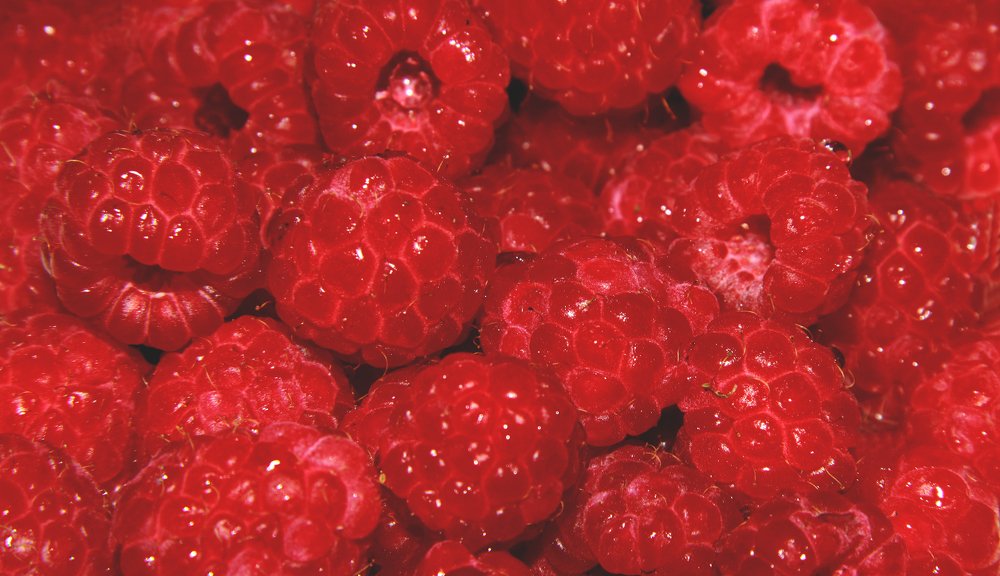 Photograph by ZINAIDA