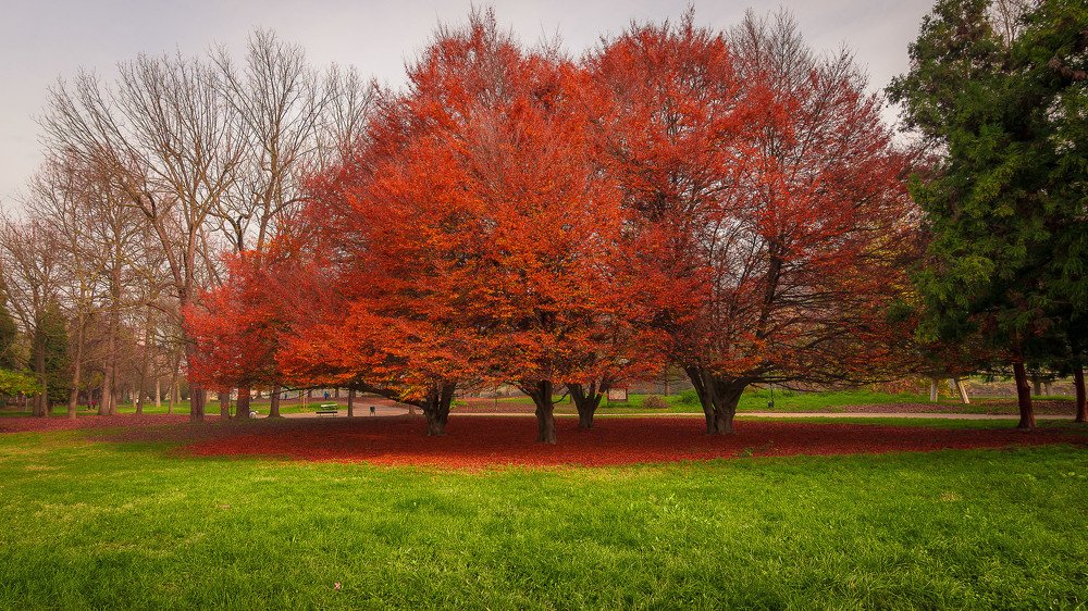 Фотография автора Sergio Agro