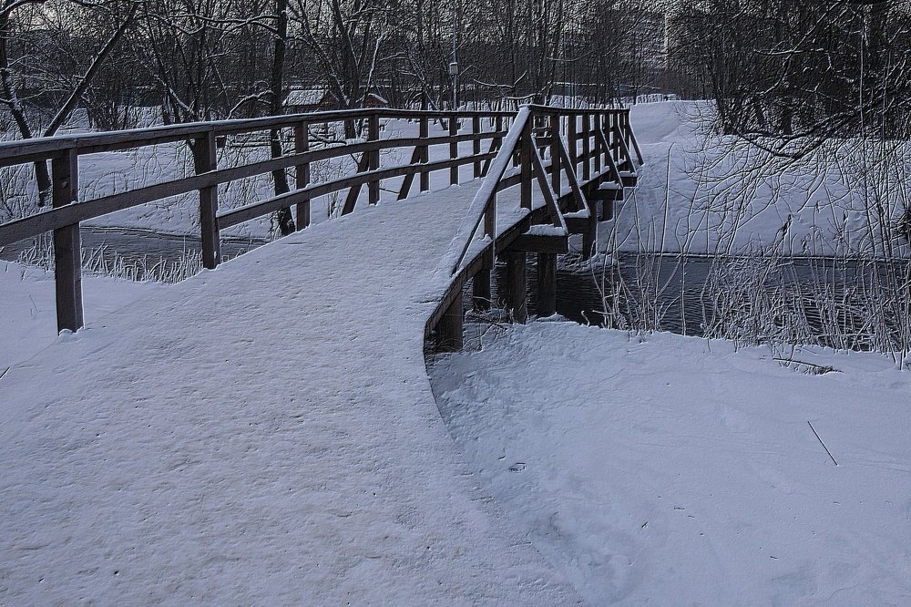 Photograph by IRINA KORNEVA